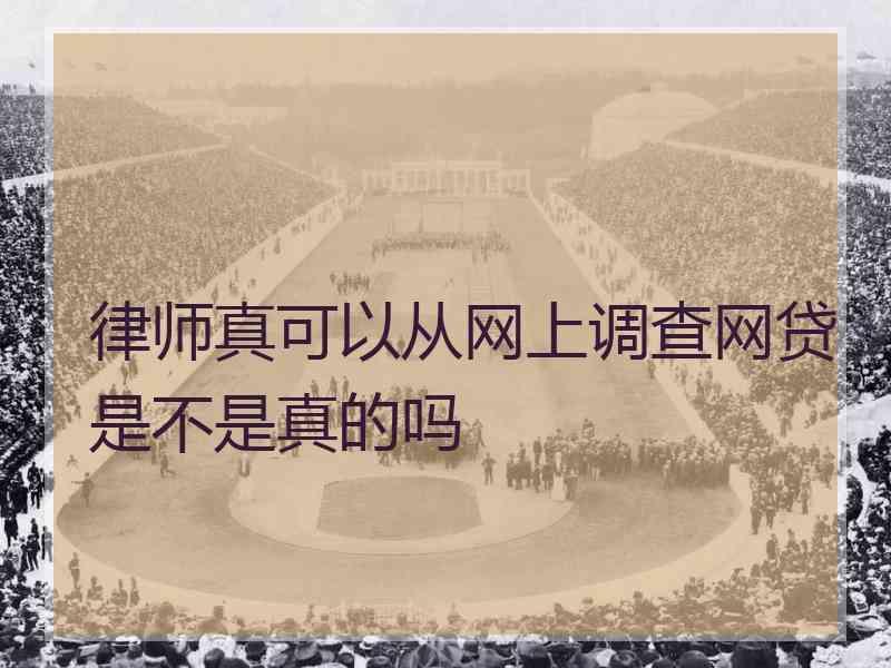 律师真可以从网上调查网贷是不是真的吗