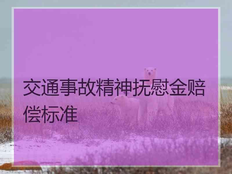 交通事故精神抚慰金赔偿标准