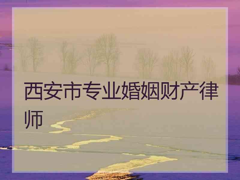 西安市专业婚姻财产律师