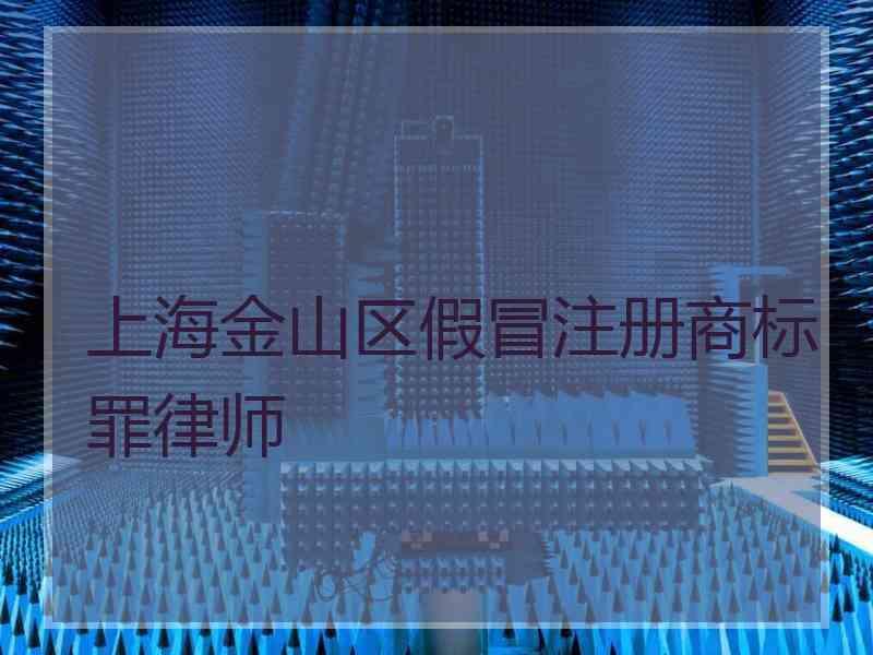 上海金山区假冒注册商标罪律师