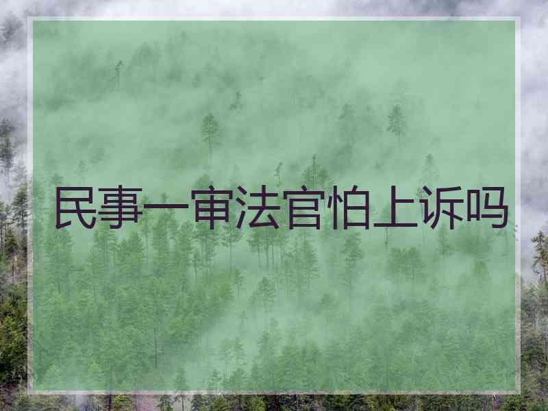 民事一审法官怕上诉吗