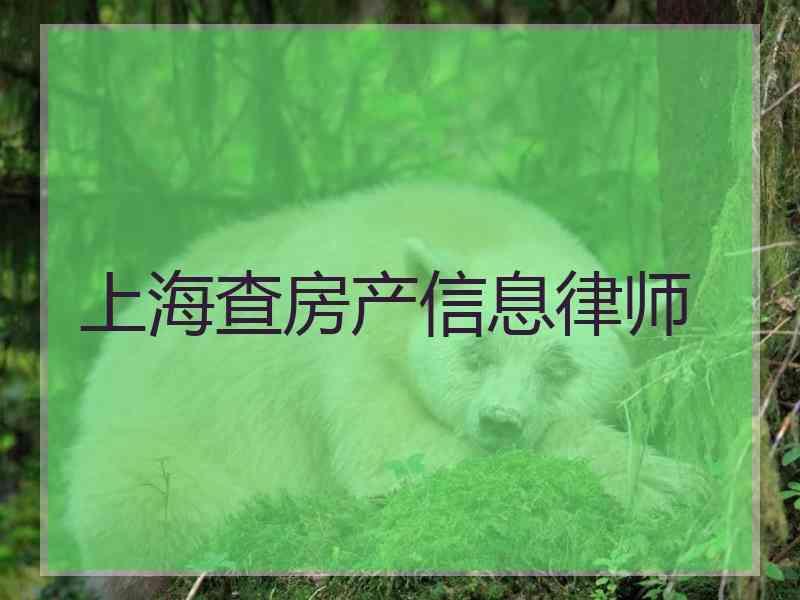 上海查房产信息律师