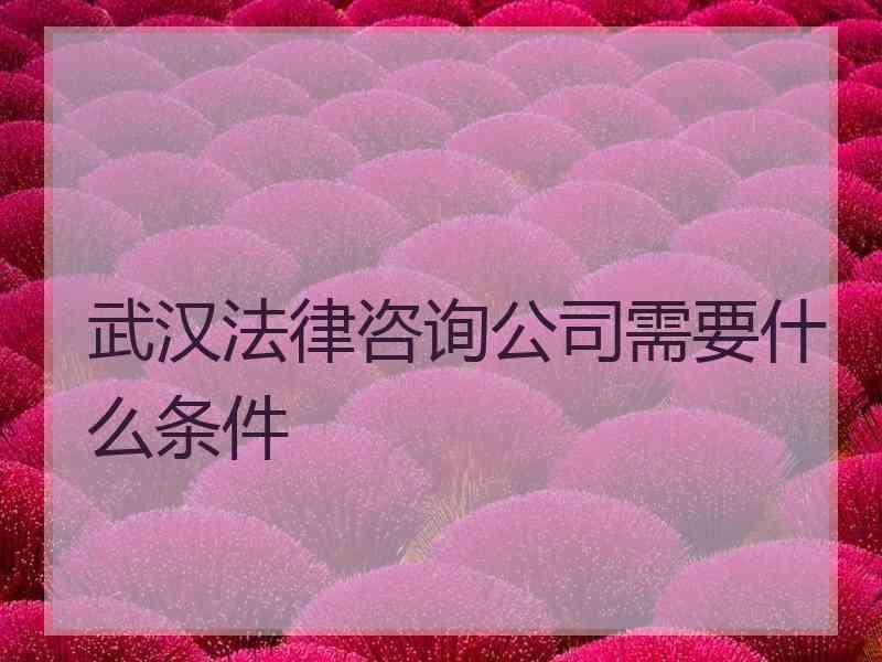 武汉法律咨询公司需要什么条件