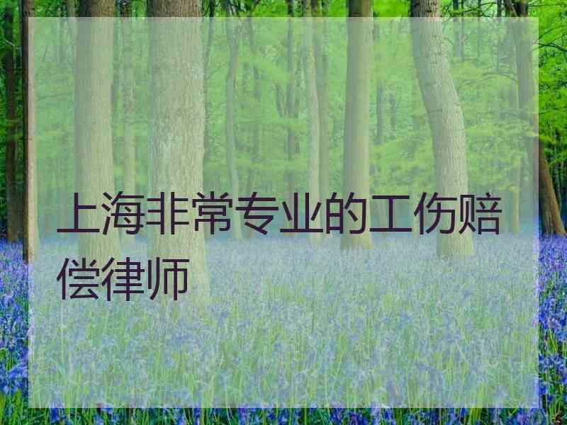 上海非常专业的工伤赔偿律师