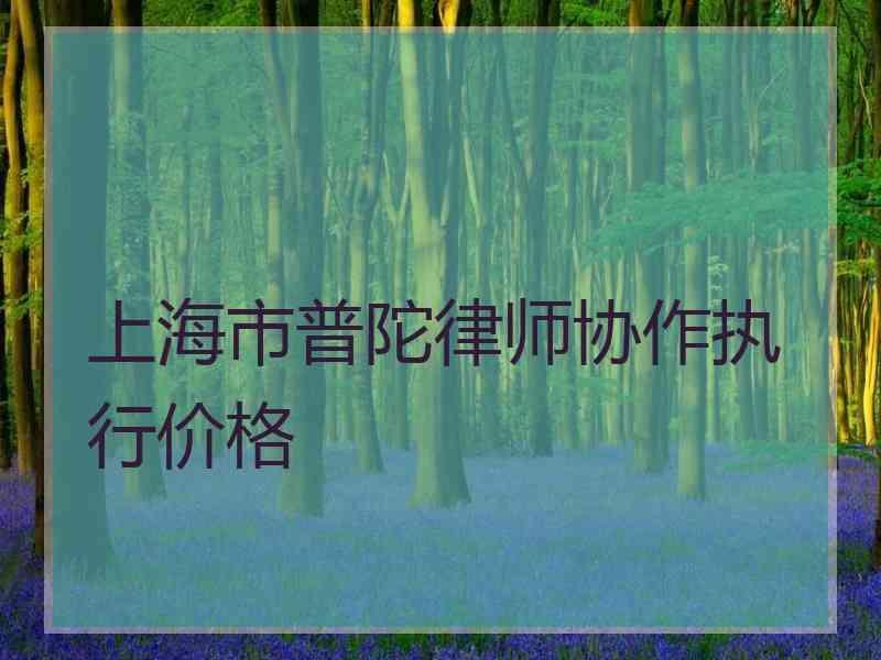 上海市普陀律师协作执行价格