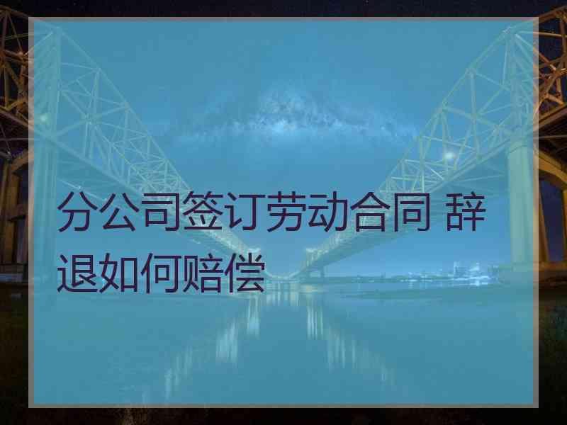 分公司签订劳动合同 辞退如何赔偿