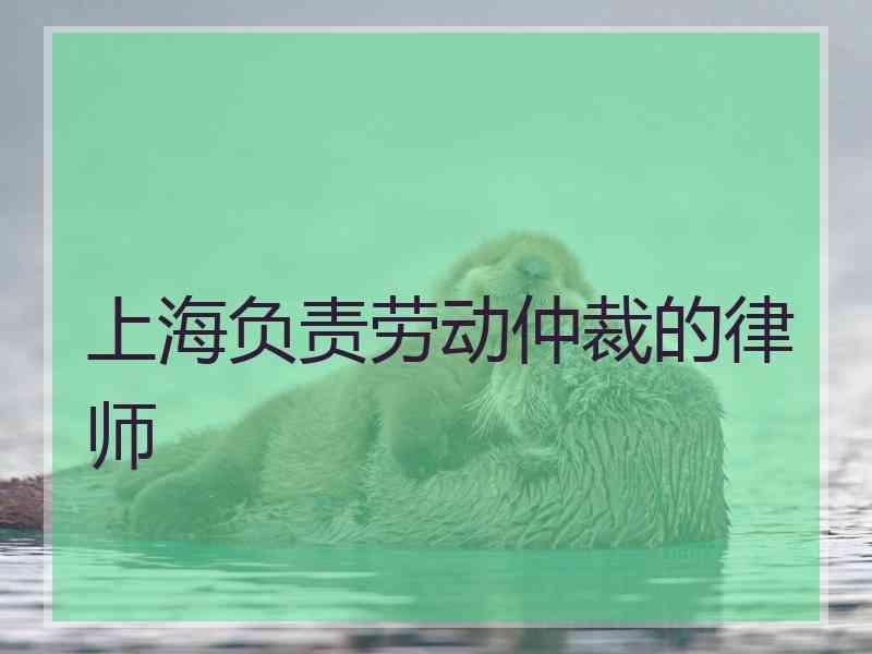 上海负责劳动仲裁的律师