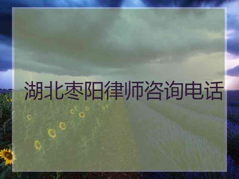 湖北枣阳律师咨询电话