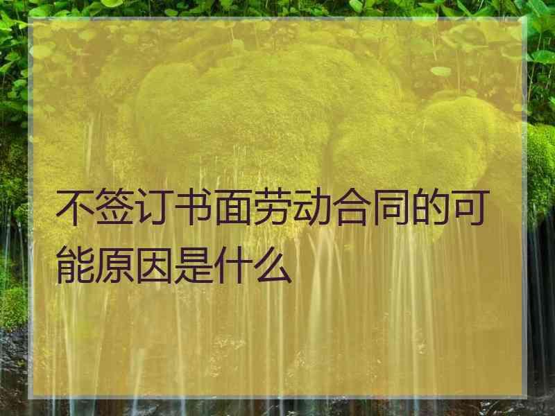 不签订书面劳动合同的可能原因是什么