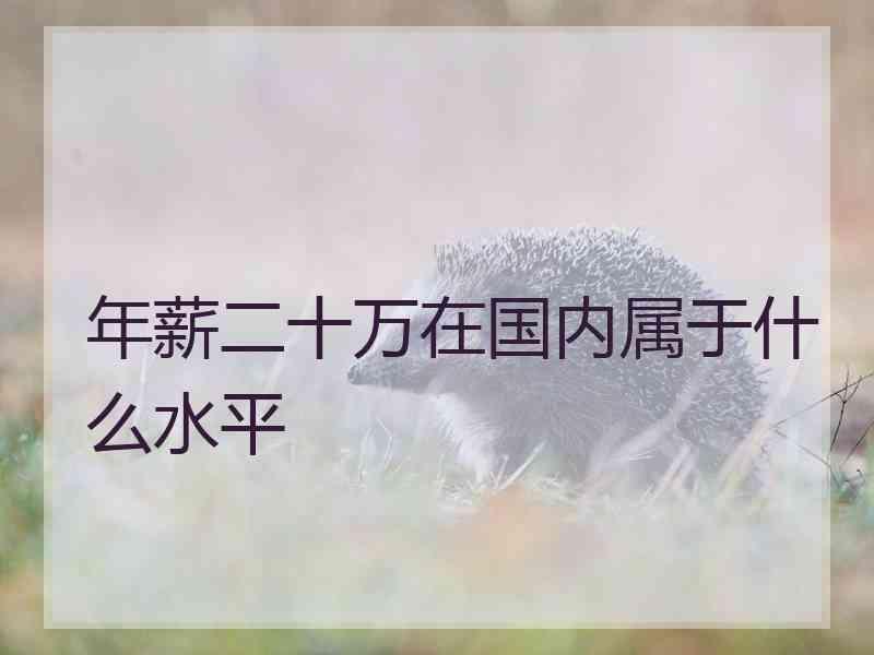 年薪二十万在国内属于什么水平