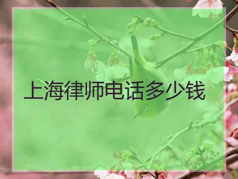 上海律师电话多少钱