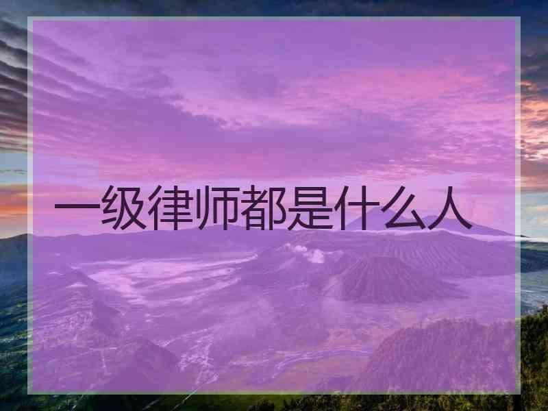 一级律师都是什么人