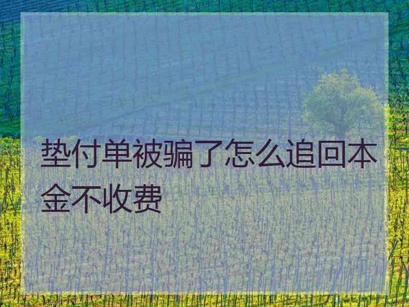 垫付单被骗了怎么追回本金不收费