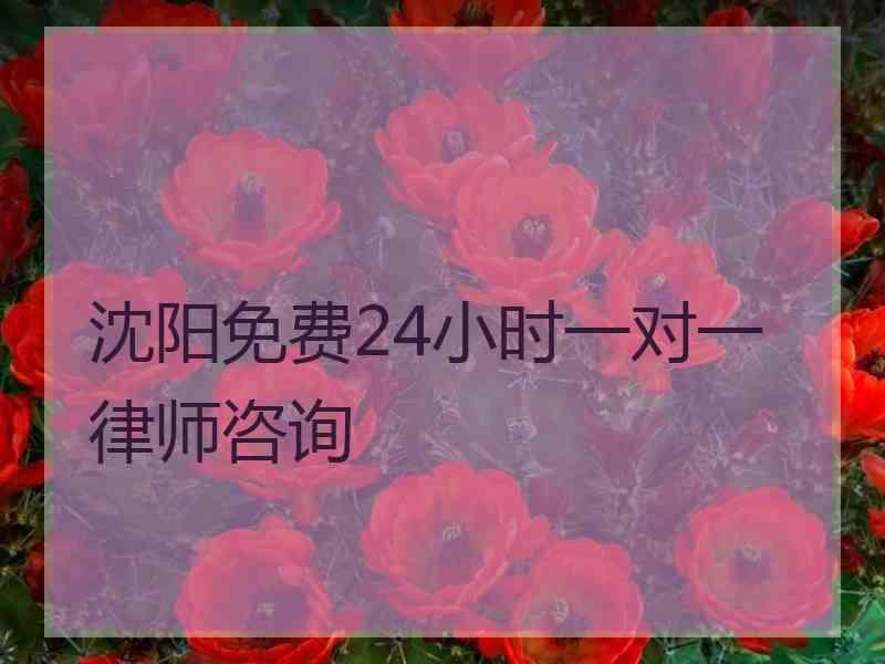 沈阳免费24小时一对一律师咨询