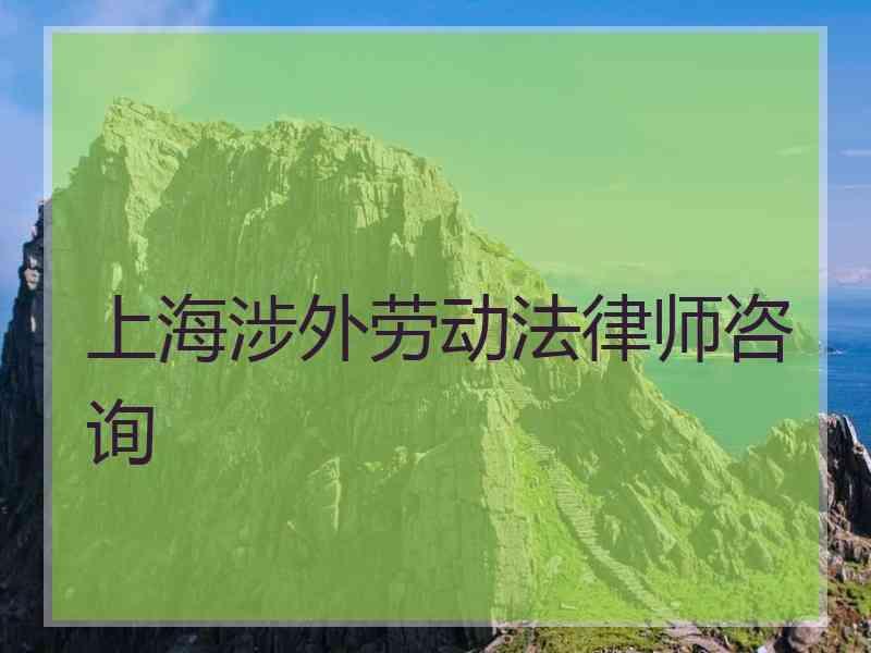 上海涉外劳动法律师咨询