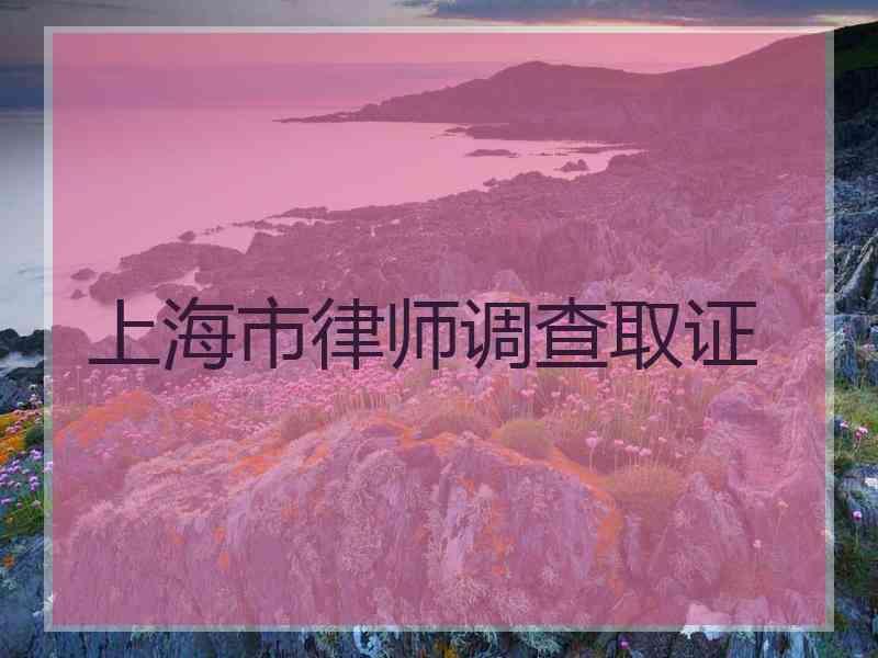 上海市律师调查取证