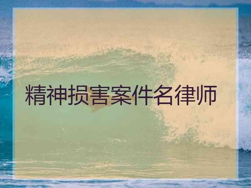 精神损害案件名律师