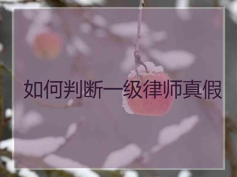 如何判断一级律师真假