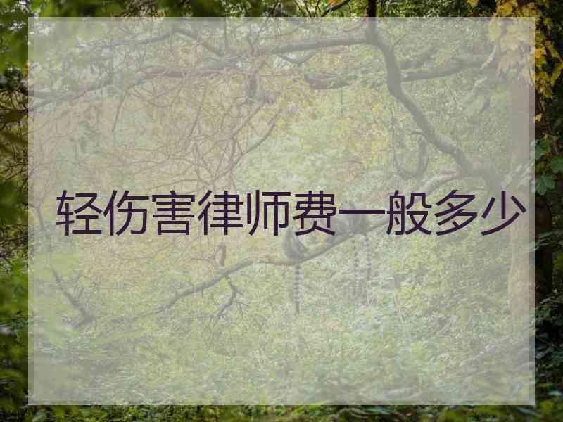 轻伤害律师费一般多少