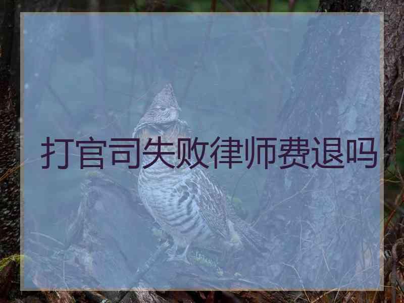 打官司失败律师费退吗