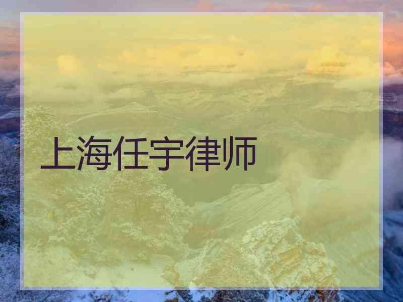 上海任宇律师