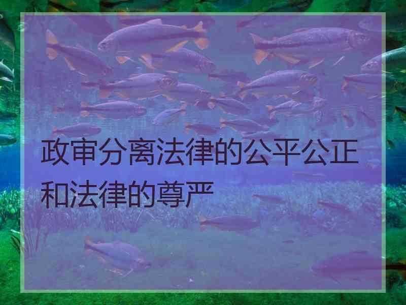 政审分离法律的公平公正和法律的尊严