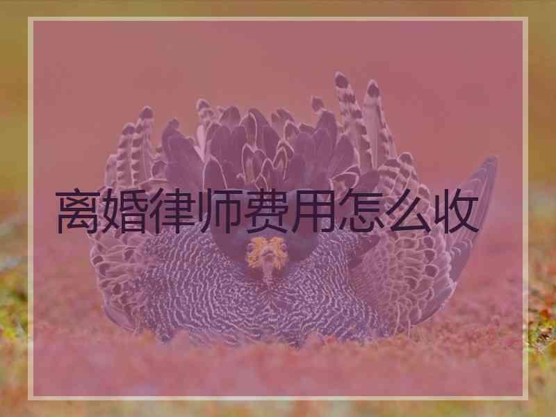 离婚律师费用怎么收