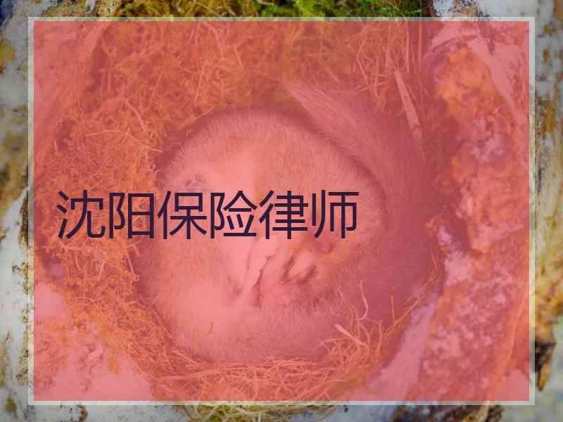 沈阳保险律师