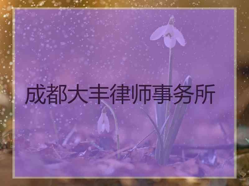 成都大丰律师事务所