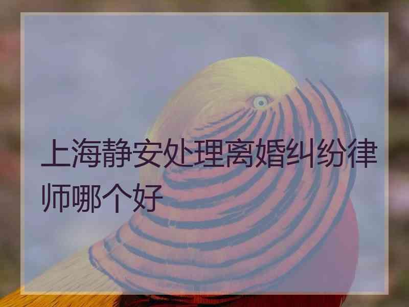 上海静安处理离婚纠纷律师哪个好