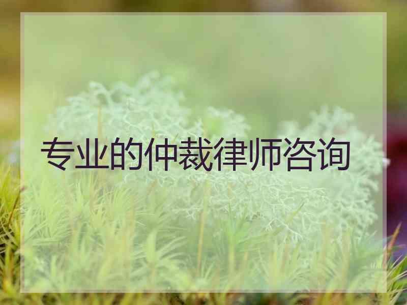 专业的仲裁律师咨询