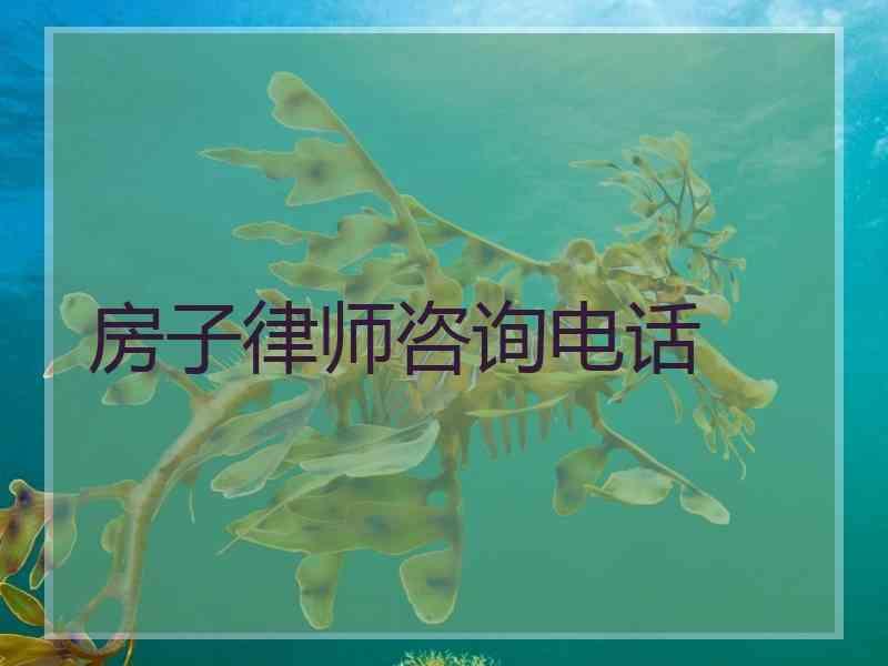 房子律师咨询电话