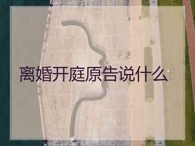 离婚开庭原告说什么