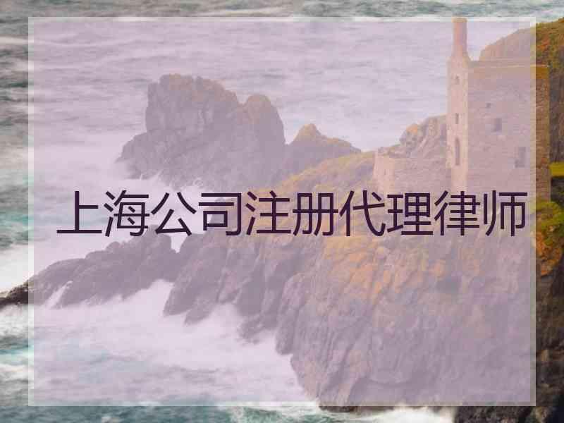 上海公司注册代理律师