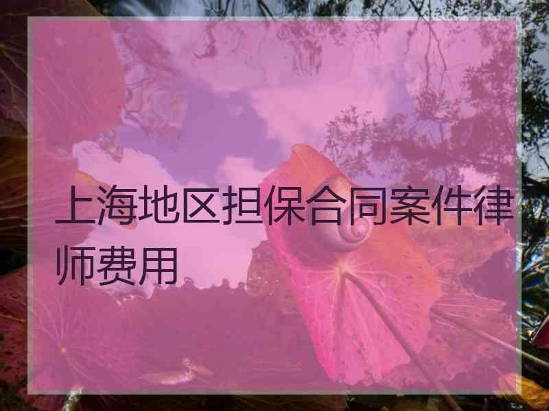 上海地区担保合同案件律师费用