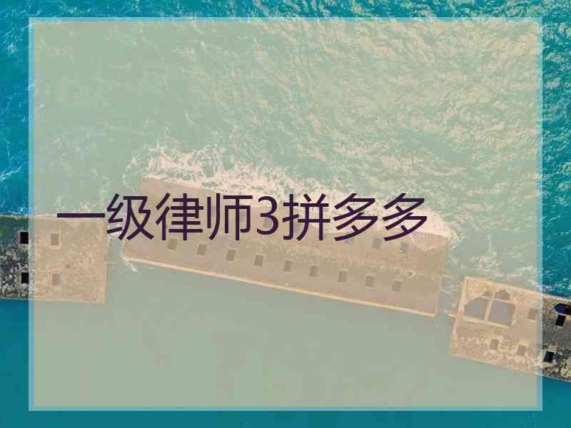 一级律师3拼多多