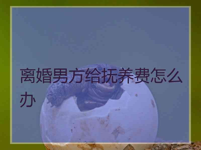 离婚男方给抚养费怎么办