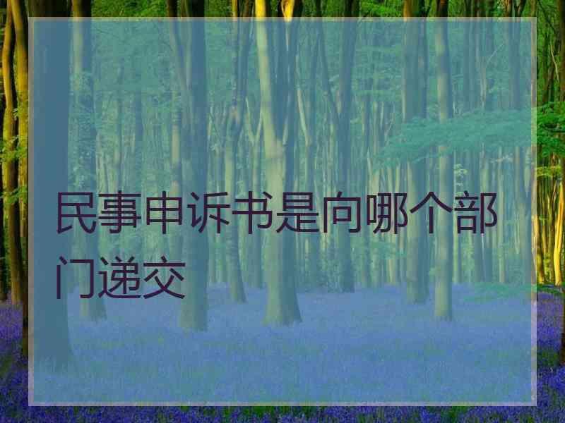 民事申诉书是向哪个部门递交