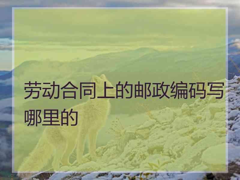 劳动合同上的邮政编码写哪里的