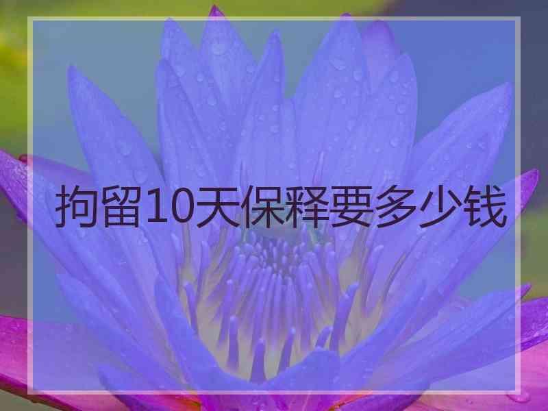 拘留10天保释要多少钱