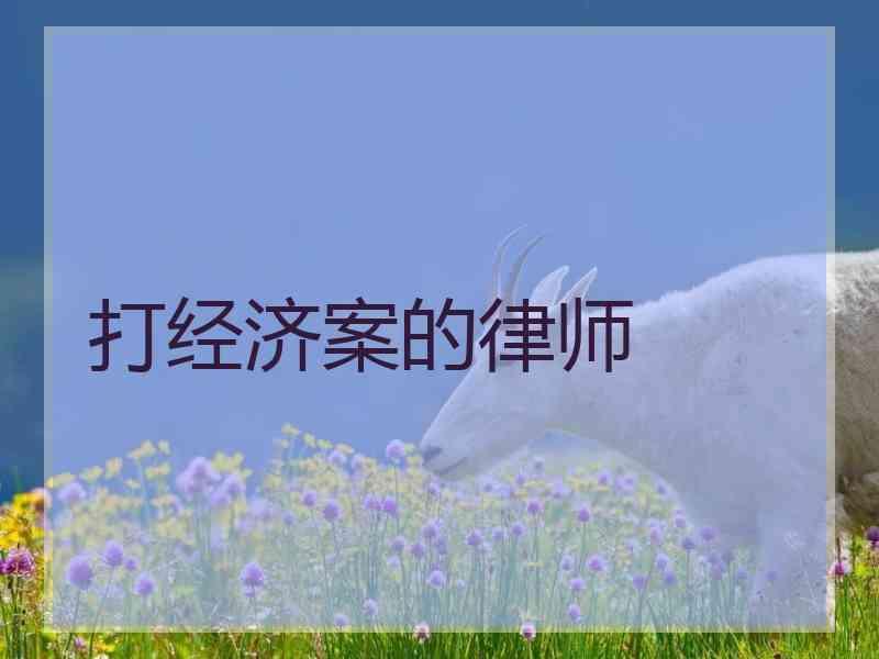 打经济案的律师