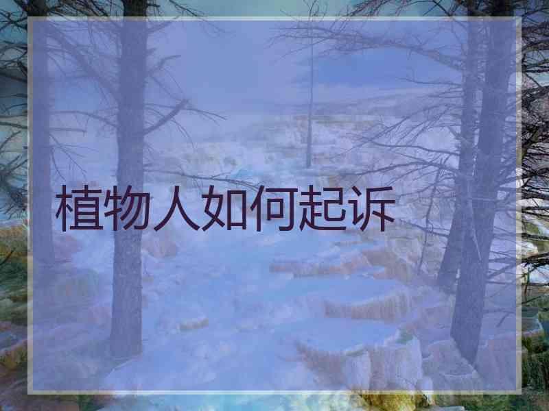 植物人如何起诉