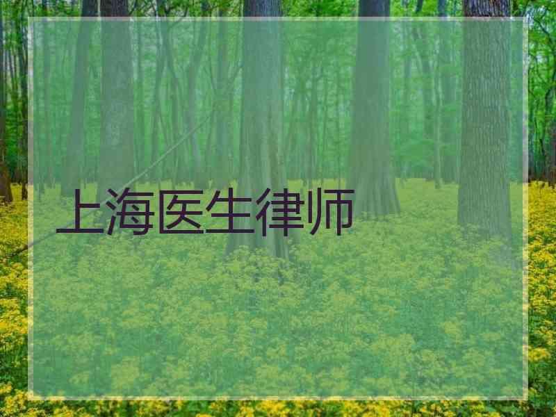 上海医生律师