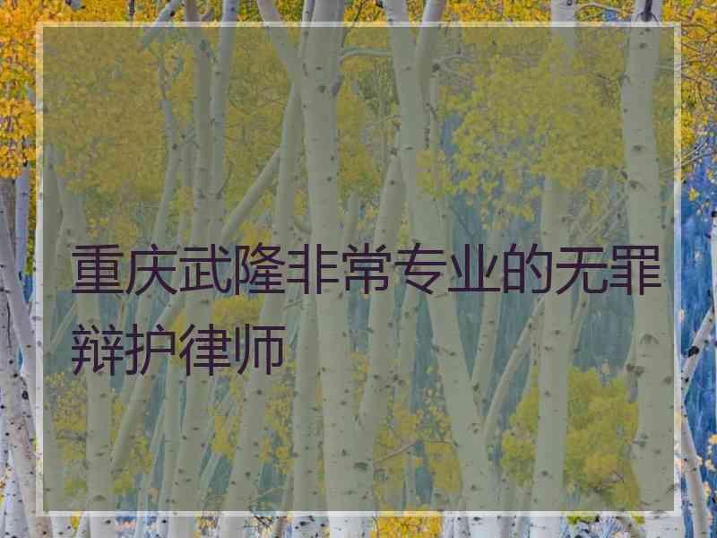 重庆武隆非常专业的无罪辩护律师