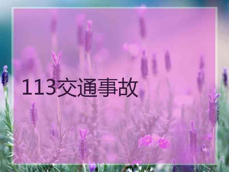 113交通事故