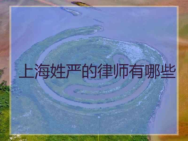 上海姓严的律师有哪些