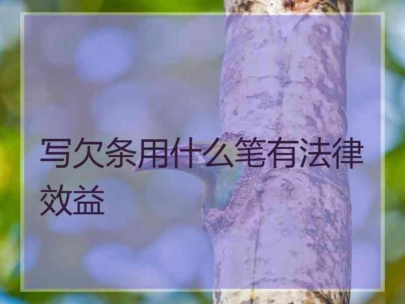 写欠条用什么笔有法律效益