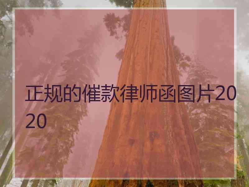 正规的催款律师函图片2020