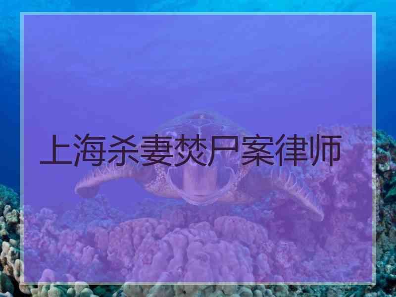 上海杀妻焚尸案律师
