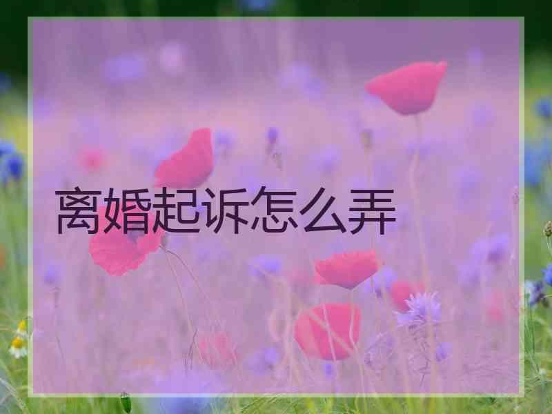 离婚起诉怎么弄